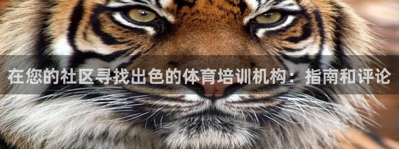 焦点娱乐股东：在您的社区寻找出色的体育培训机构：指南