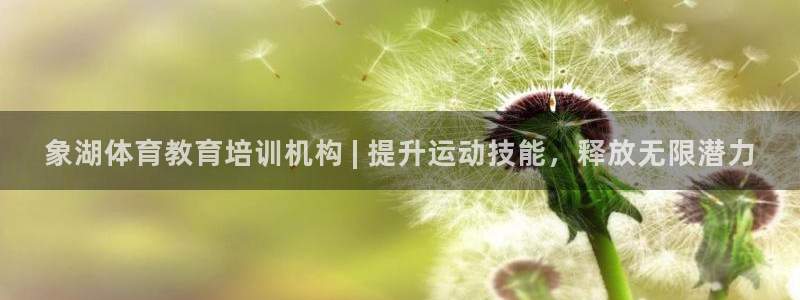 焦点娱乐官网下载安装最新版手机：象湖体育教育培训机构