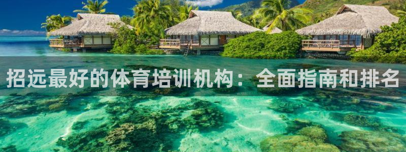 焦点娱乐官网下载：招远最好的体育培训机构：全面指南和