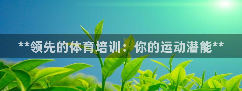 焦点娱乐公司简介图片：**领先的体育培训：你的运动潜