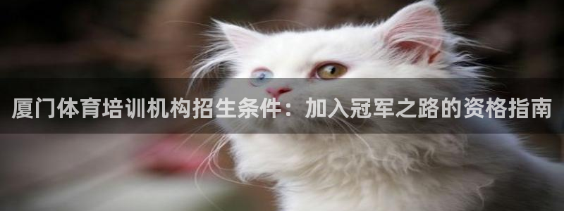 焦点娱乐平台怎么样赚钱：厦门体育培训机构招生条件：加
