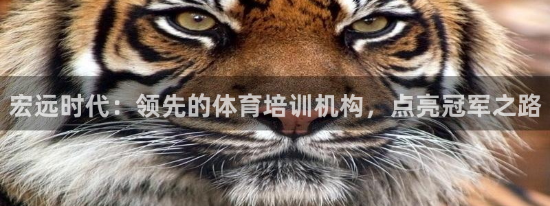 焦点娱乐门徒娱乐骗局：宏远时代：领先的体育培训机构，