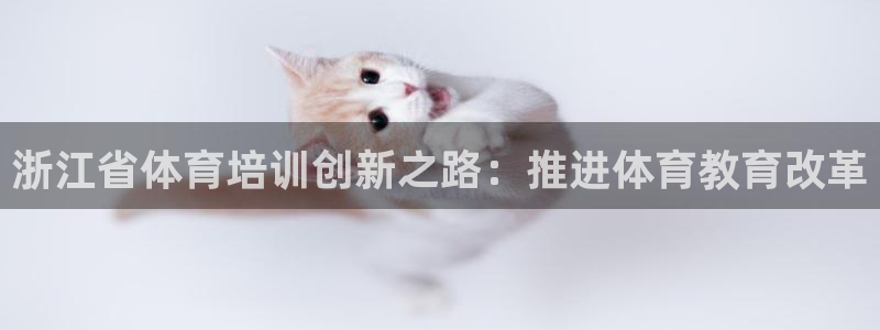 焦点娱乐官方网站下载安装手机版：浙江省体育培训创新之