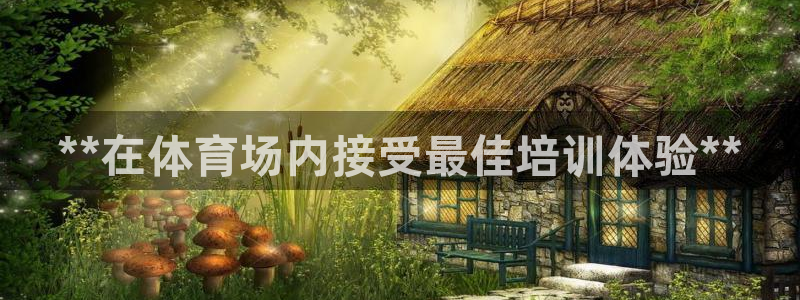 焦点娱乐官方网站下载手机版苹果：**在体育场内接受最