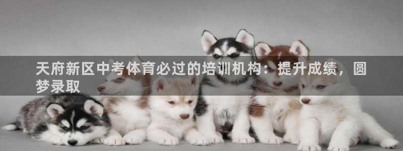 焦点娱乐传媒有限公司怎么样：天府新区中考体育必过的培