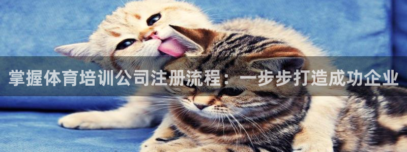 焦点娱乐app下载官网：掌握体育培训公司注册流程：一