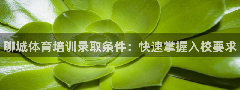焦点娱乐公司的发展历程简述：聊城体育培训录取条件：快