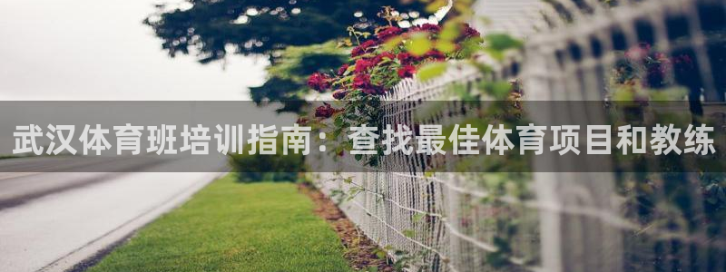 焦点娱乐官网首页下载手机版：武汉体育班培训指南：查找