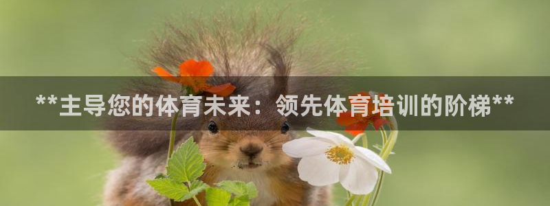 焦点娱乐如何注册账号和密码：**主导您的体育未来：领