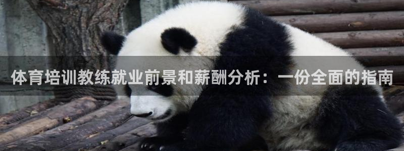 焦点娱乐平台登录不了怎么回事：体育培训教练就业前景和
