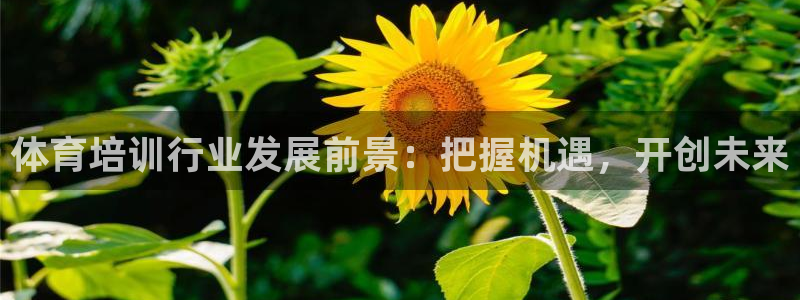 焦点娱乐app下载官网：体育培训行业发展前景：把握机