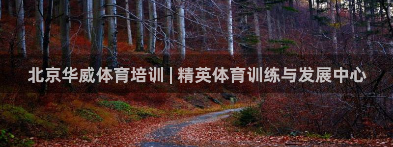 焦点娱乐传媒有限公司招聘电话：北京华威体育培训 | 