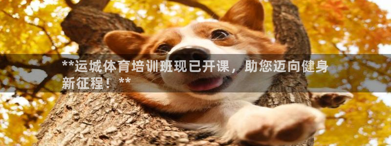 焦点娱乐传媒有限公司怎么样：**运城体育培训班现已开