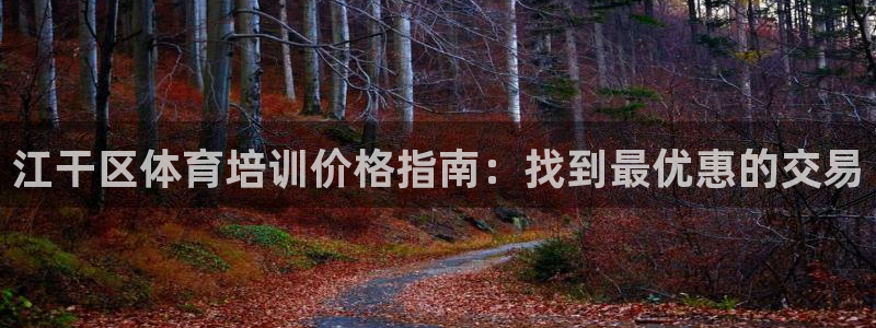 焦点娱乐网站下载地址大全：江干区体育培训价格指南：找