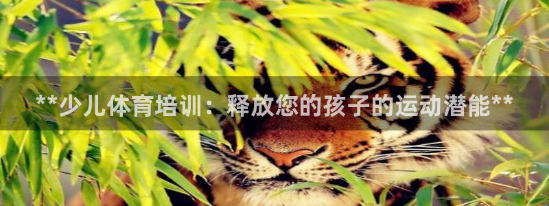 焦点娱乐传媒有限公司怎么样：**少儿体育培训：释放您