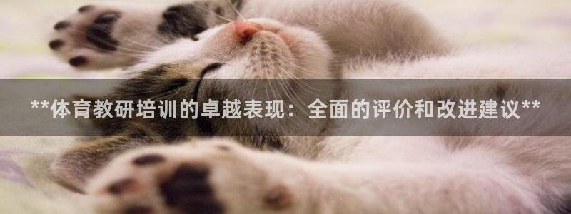 焦点娱乐app下载苹果版官网：**体育教研培训的卓越