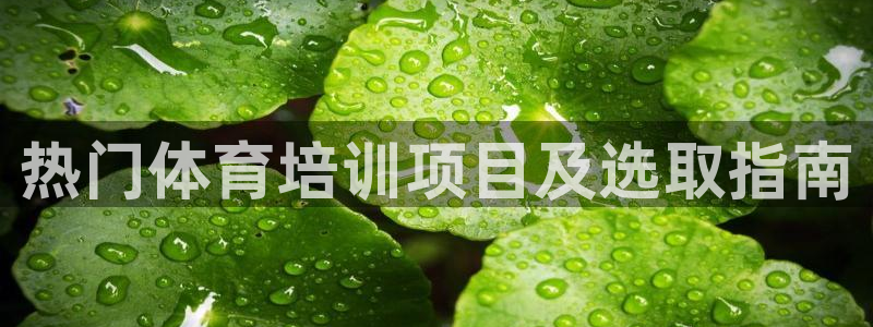 焦点娱乐平台是正规的吗知乎：热门体育培训项目及选取指