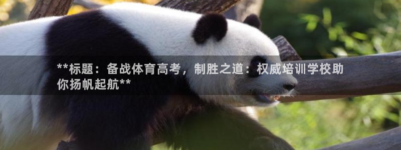 焦点娱乐游戏怎么玩教程：**标题：备战体育高考，制胜