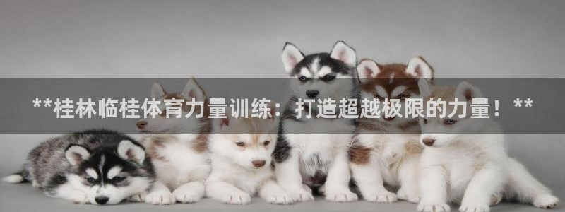 焦点娱乐财神：**桂林临桂体育力量训练：打造超越极限