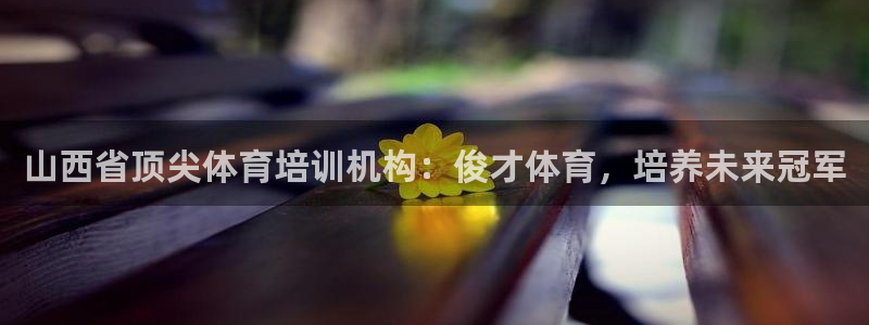 焦点娱乐官网下载安装最新版手机：山西省顶尖体育培训机