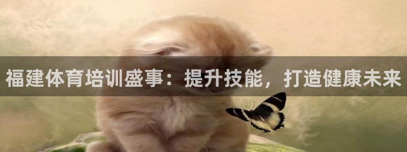 焦点娱乐公司的发展历程简介：福建体育培训盛事：提升技