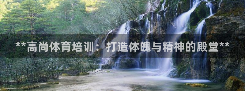 焦点娱乐公司：**高尚体育培训：打造体魄与精神的殿堂