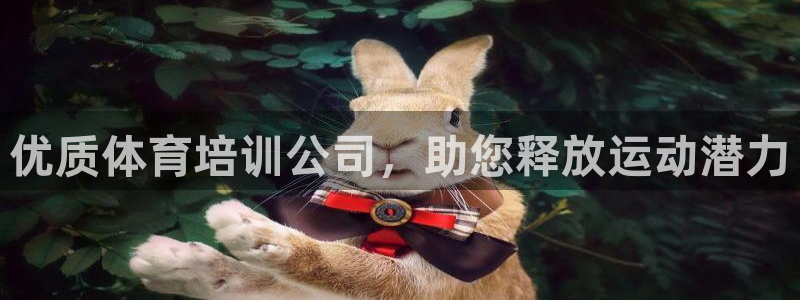 焦点娱乐拉菲11月12日：优质体育培训公司，助您释放