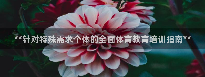 焦点娱乐门徒娱乐骗局揭秘：**针对特殊需求个体的全面