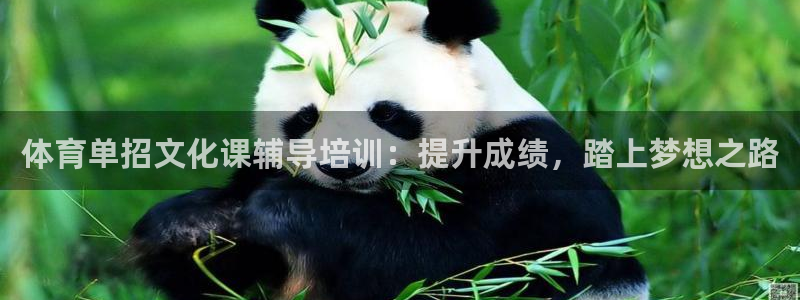 焦点娱乐平台：体育单招文化课辅导培训：提升成绩，踏上