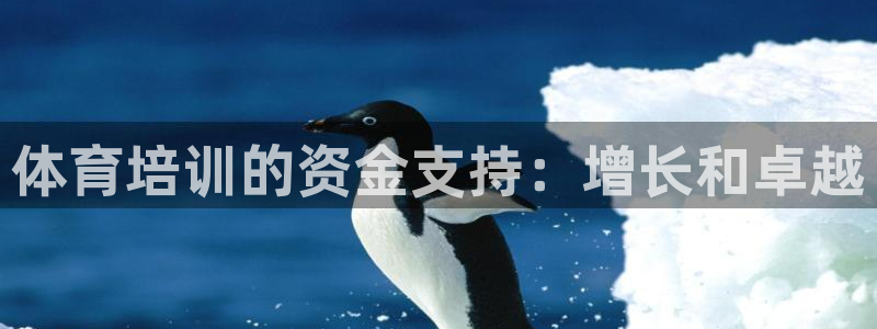 焦点娱乐游戏：体育培训的资金支持：增长和卓越