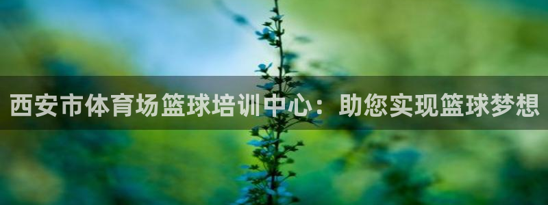 焦点娱乐app下载官网最新版：西安市体育场篮球培训中