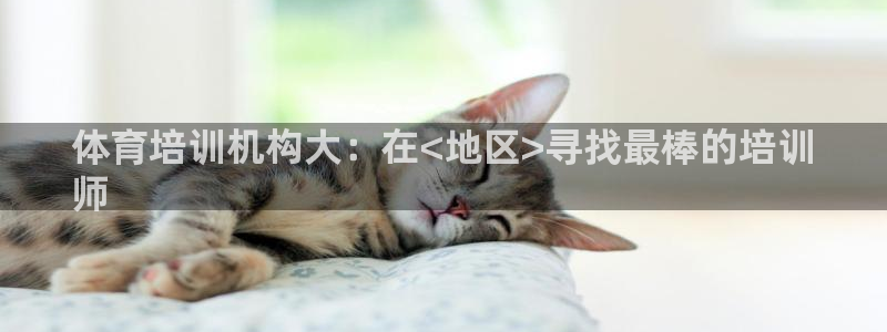 焦点娱乐待遇：体育培训机构大：在<地区>寻找最棒的培