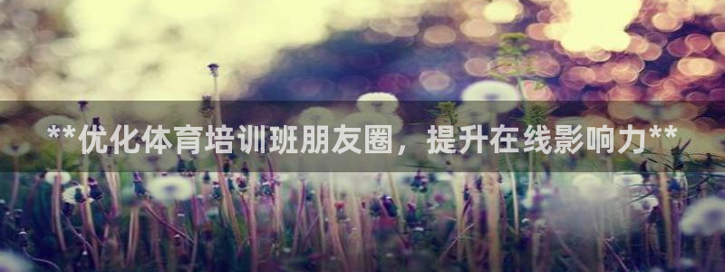 焦点娱乐网站下载地址在哪：**优化体育培训班朋友圈，