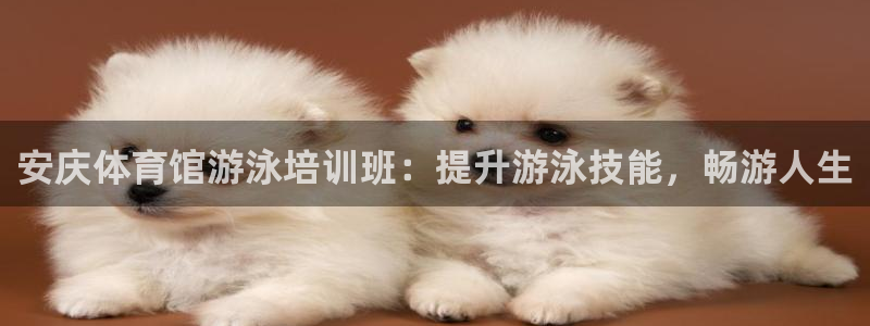 焦点娱乐平台客服电话号码是多少：安庆体育馆游泳培训班