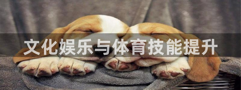 焦点娱乐平台是正规的吗安全吗知乎：文化娱乐与体育技能