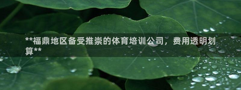 焦点娱乐传媒有限公司：**福鼎地区备受推崇的体育培训