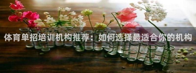 焦点娱乐传媒有限公司官网电话：体育单招培训机构推荐：