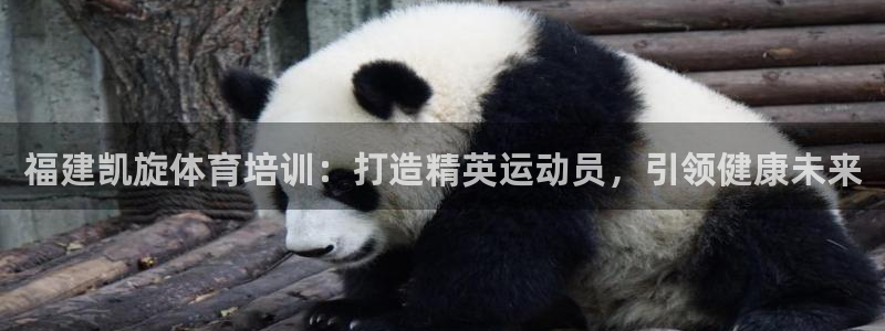焦点娱乐不出款怎么回事：福建凯旋体育培训：打造精英运