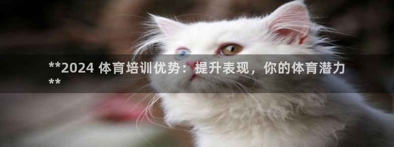 焦点娱乐股东有哪些：**2024 体育培训优势：提升