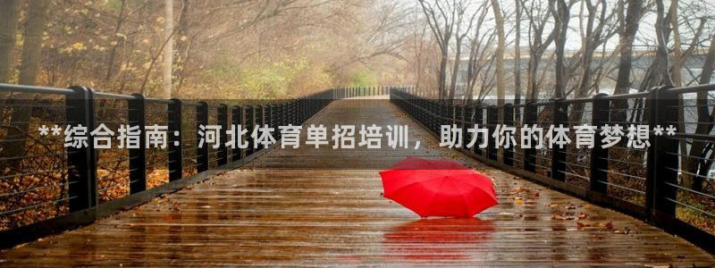 焦点娱乐简七O935最新版本更新内容：**综合指南：