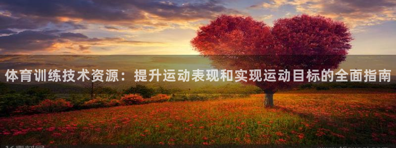 焦点娱乐股东持股比例：体育训练技术资源：提升运动表现