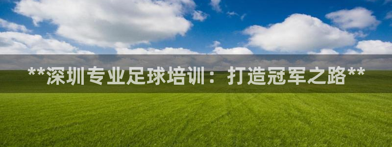 焦点娱乐官网首页：**深圳专业足球培训：打造冠军之路