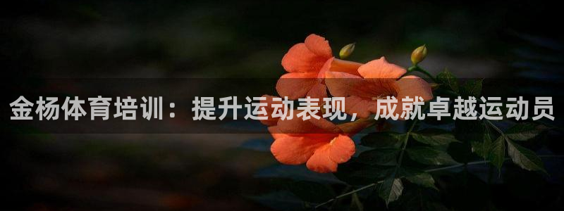焦点娱乐力 411o31 焦点：金杨体育培训：提升运