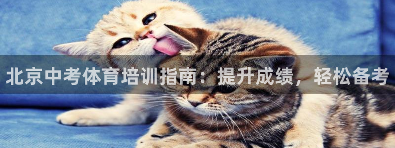 焦点娱乐可以解封银行卡吗：北京中考体育培训指南：提升