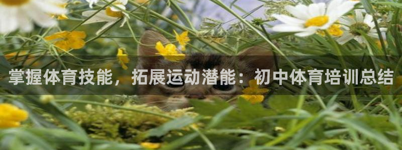 焦点娱乐平台留7O777：掌握体育技能，拓展运动潜能