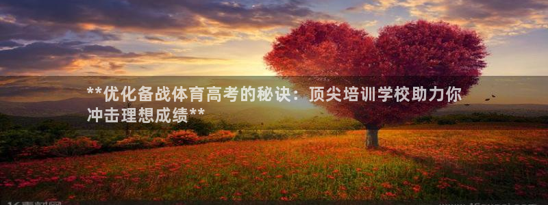 焦点娱乐传媒有限公司怎么样啊知乎：**优化备战体育高