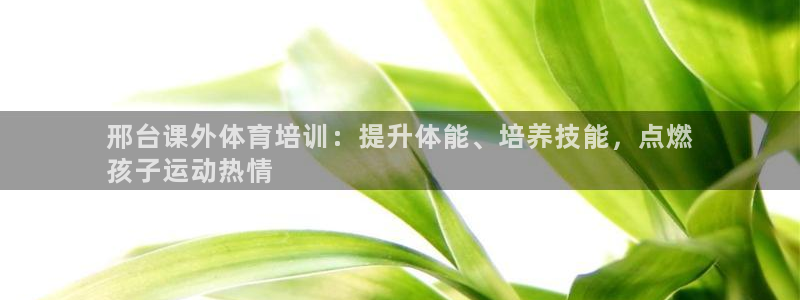 焦点娱乐官方网站下载安装最新版：邢台课外体育培训：提