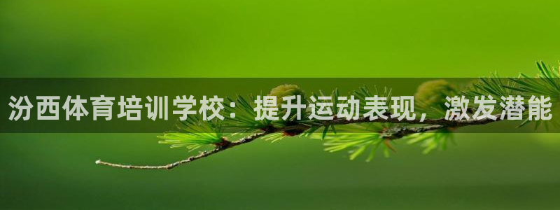 焦点娱乐官网下载安装苹果手机：汾西体育培训学校：提升