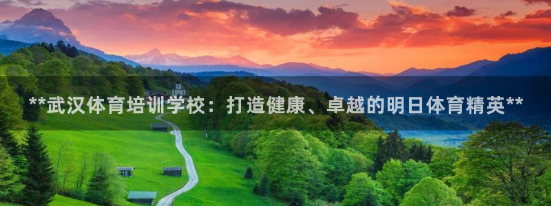 焦点娱乐无法提现怎么回事：**武汉体育培训学校：打造