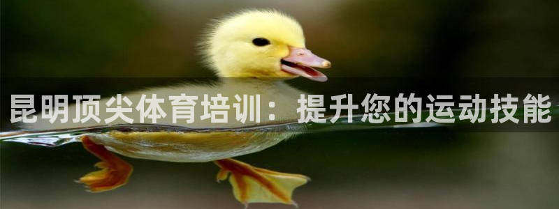 焦点娱乐app下载官网：昆明顶尖体育培训：提升您的运